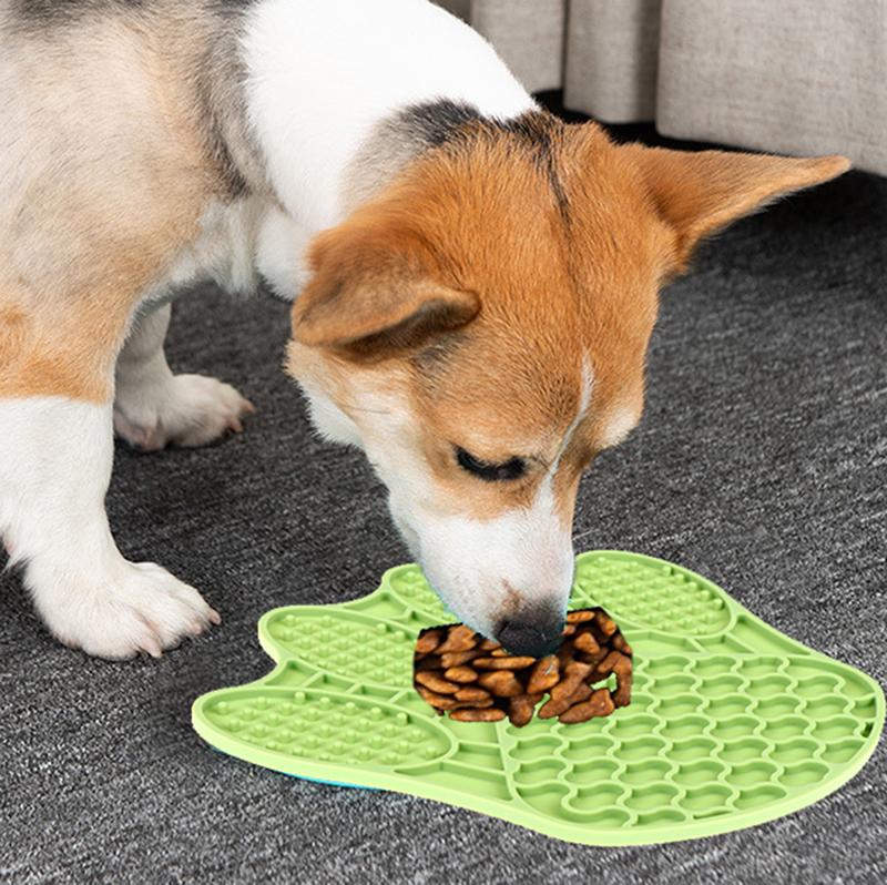 dog eating plate