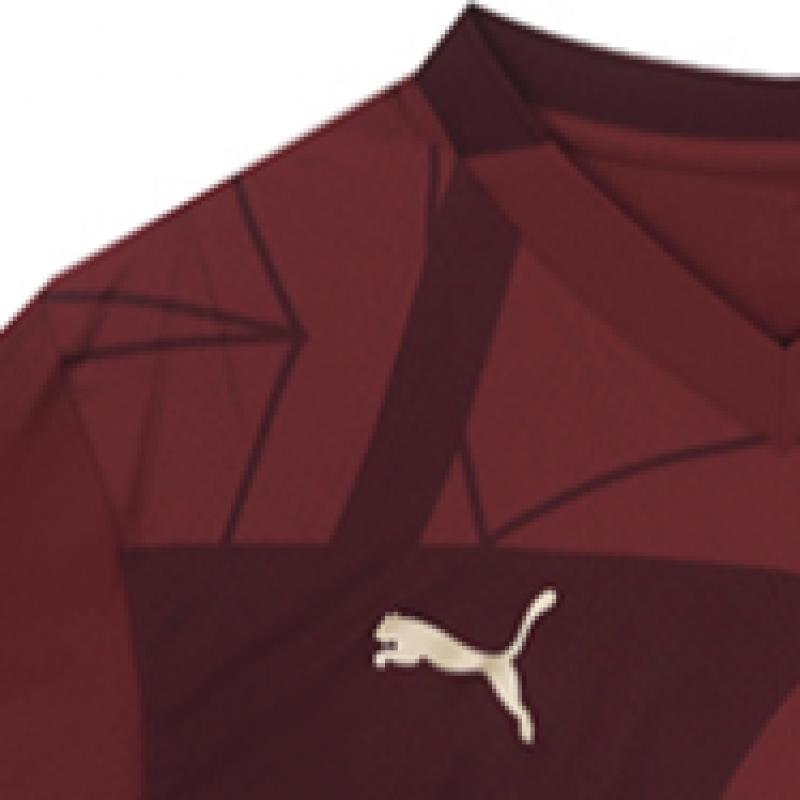 Puma Manchester City 2024 25 Third Authentic Jersey Man City Jersey