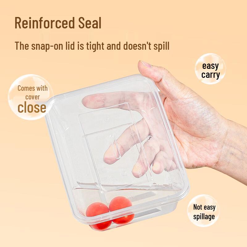 Temeiju Disposable Square Lunch Box with Lid, 10 Sets