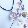 Beautiful Dandelion Necklace Eternal Flower Clavicle Chain Male and Female Couples Crystal Dried Flower Glass Ball Pendant Accessories