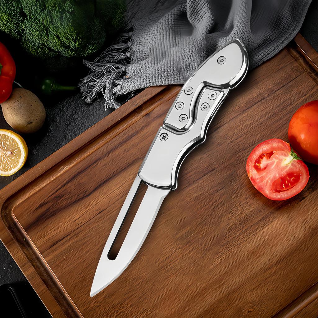 Outdoor Folding Knife Fruit Knife Stainless Steel Camping Knife Mini Mechanical Folding Knife Keychain Carrying Pocket Knife
