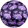 1pc Mystical Fox Dreamscape Size 5 Soccer Ball Professional Match Training Football Indoor &Outdoor Sports Ball Lightweight Durable C6525