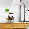 3-in-1 External Filter Box High Transparency Water Circulation Aquarium Water Purifier Hanging Type Edge Hole Aquarium Box