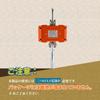 Bonvoisin Hanging Scale Crane Scale 1000kg Digital Hanging Scale for Wharf Slaughterhouse Farm Factory Compact Japanese Manual Included Batteries Sold