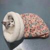 Pet Bed Warm Blanket Soft Handle Beautiful Cartoon Print Bag Sleep Pocket Bed Comfortable Nest