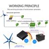 Wind Turbines Generator 3000W 5 Blade Wind Generator With Controller Windmill Energy Turbines Charge New