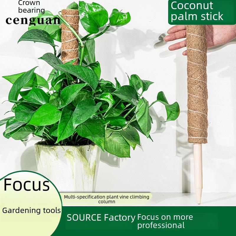 Natural Coconut Palm Rod Plant Support: 30cm/40cm/50cm, Modular Climbing Trellis for Vines