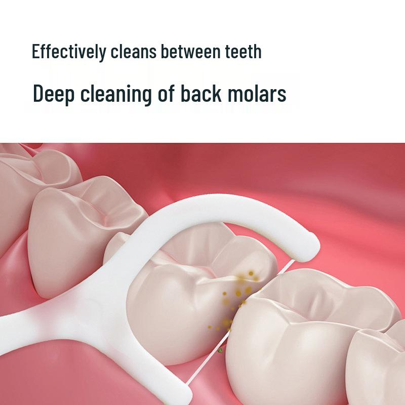 Portable Floss Case with Disposable Floss Picks - 10 Pack