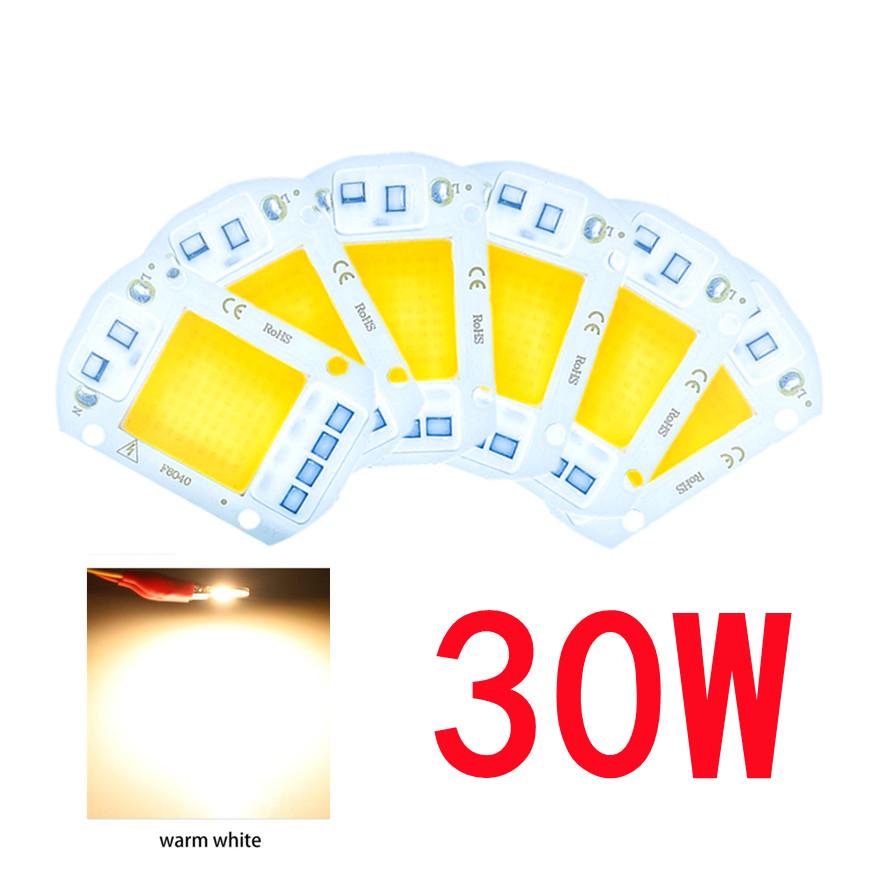 LED COB lamp Bead 20W 30W 50W AC 220V 240V IP65 Smart IC No Need Driver DIY Flood light Led Bulb Spotlight Outdoor Chip