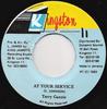 7inch Record TERRY GANZIE  At Your Service NONE Kingston 11 1993 Jamaica Reggae Ska  Dub Used