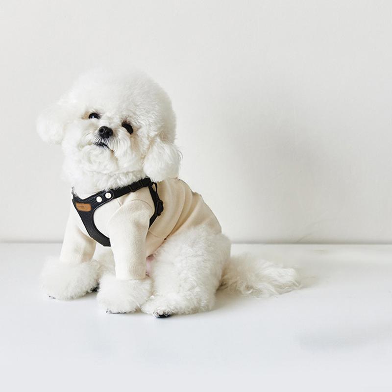 PU Leather Dog Harness and Leash Set Pet Harness for Small Dogs Teddy Bichon Comfortable Dog Harness Vest Leash Pet Supplies