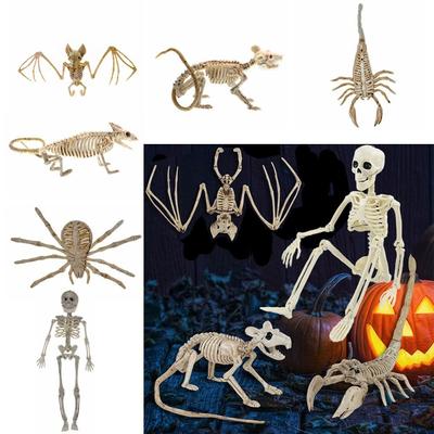 Bat Mouse Lizard Scorpion Halloween Animal Skeleton Human Bones Animal Model  Home