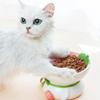Ciotola per Gatti Ciotola per Cibo in Ceramica Protezione del Collo Bocca Obliqua Protezione Cervicale Collo Bere Ciotola per Cani a Forma di Frutta Piede Alto