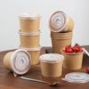 Bamboo Fiber Disposable Takeout Bowls with Lids