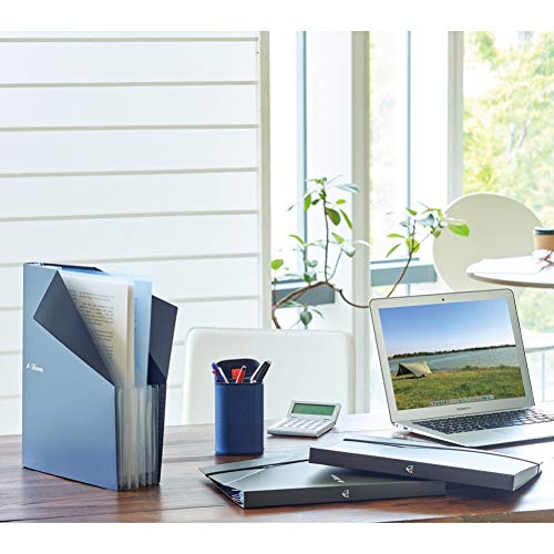Lihit Lab F7771-24 Document File Stand File A4 Black