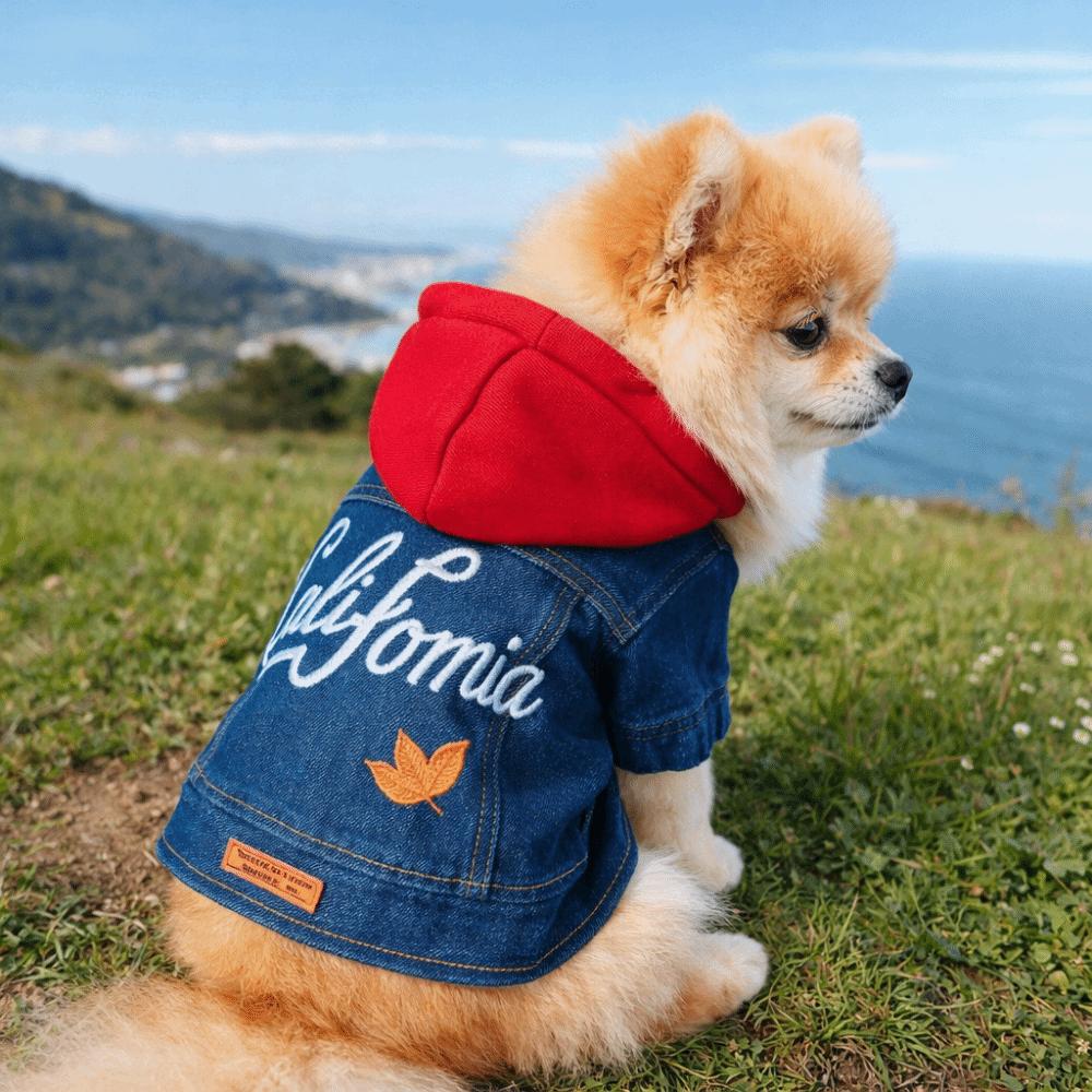 Comfortable Dog Jean Jacket Windproof Dog Coats Fashion Pet Denim Hoodie Daily Wear
