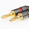 10Pcs 4mm Gold Plated Copper Banana Plug Connector For Audio Video Speaker Adapter Cable Wire Amplifier Terminal Connectors Kit