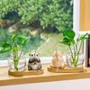 Mini Plant Propagation Station, Hydroponic Glass Vase with Cute Animals Figurine, Home Office Desks Aesthetic Decorations, Gift for Women Plant