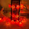 Chinese Festive LED Persimmon & Apple Decorative Lights