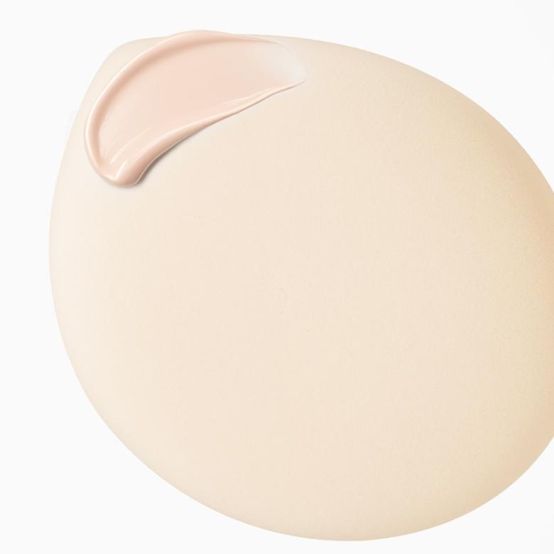 APRILSKIN Fit Pang Pang Puff & Puff Case Set 2items