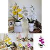 New Four Flower Small Round Orchid Desk Plant With Artificial Flowers For Home Decor And Office Use