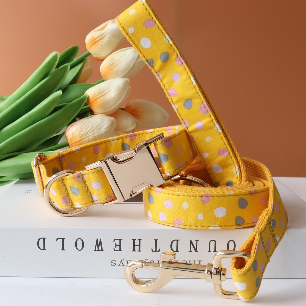 Personalized Customized Dog Collar Set Soft Padded Free Engraving Name for Small Medium Large Dogs Adjustable 8 Colors Dog Leash