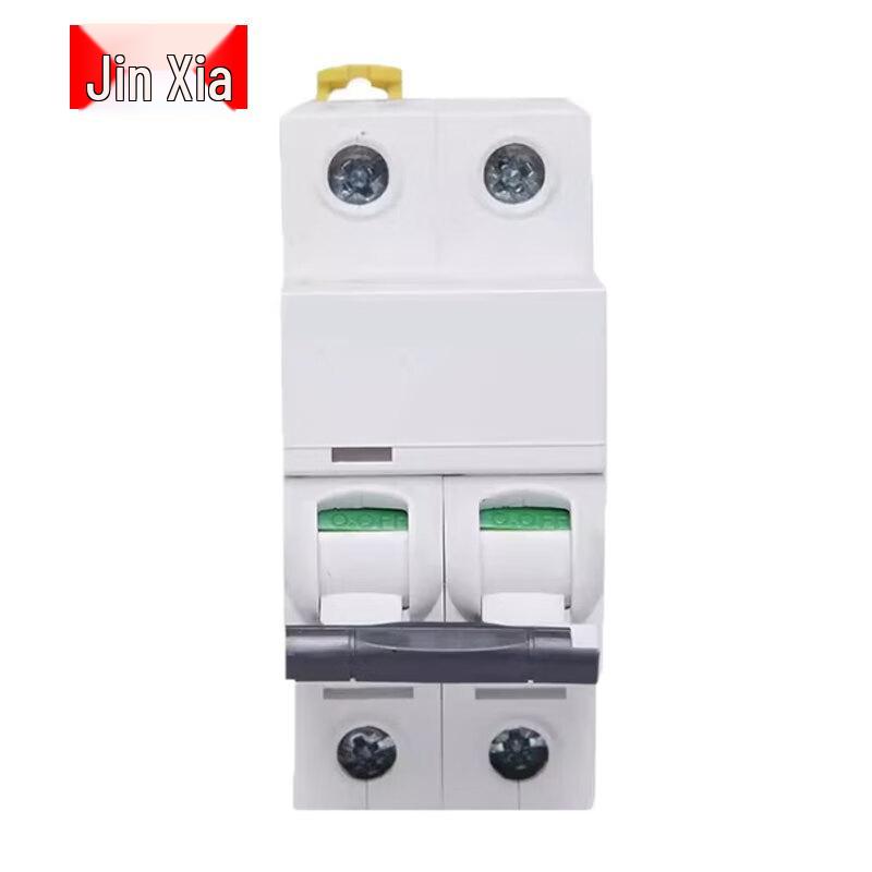 

IC65N2PC10A Miniature Circuit Breaker CN plug (adapter included)