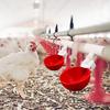 5Pcs Chicken Drinker with 1/2" PVC Tee Fittings Chicks Duck Goose Turkey Poultry Waterer Feeder Leakproof Large Automatic