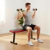 Foldable Dumbbell Bench Multi Function Adjustable Heavy Duty for Beginners
