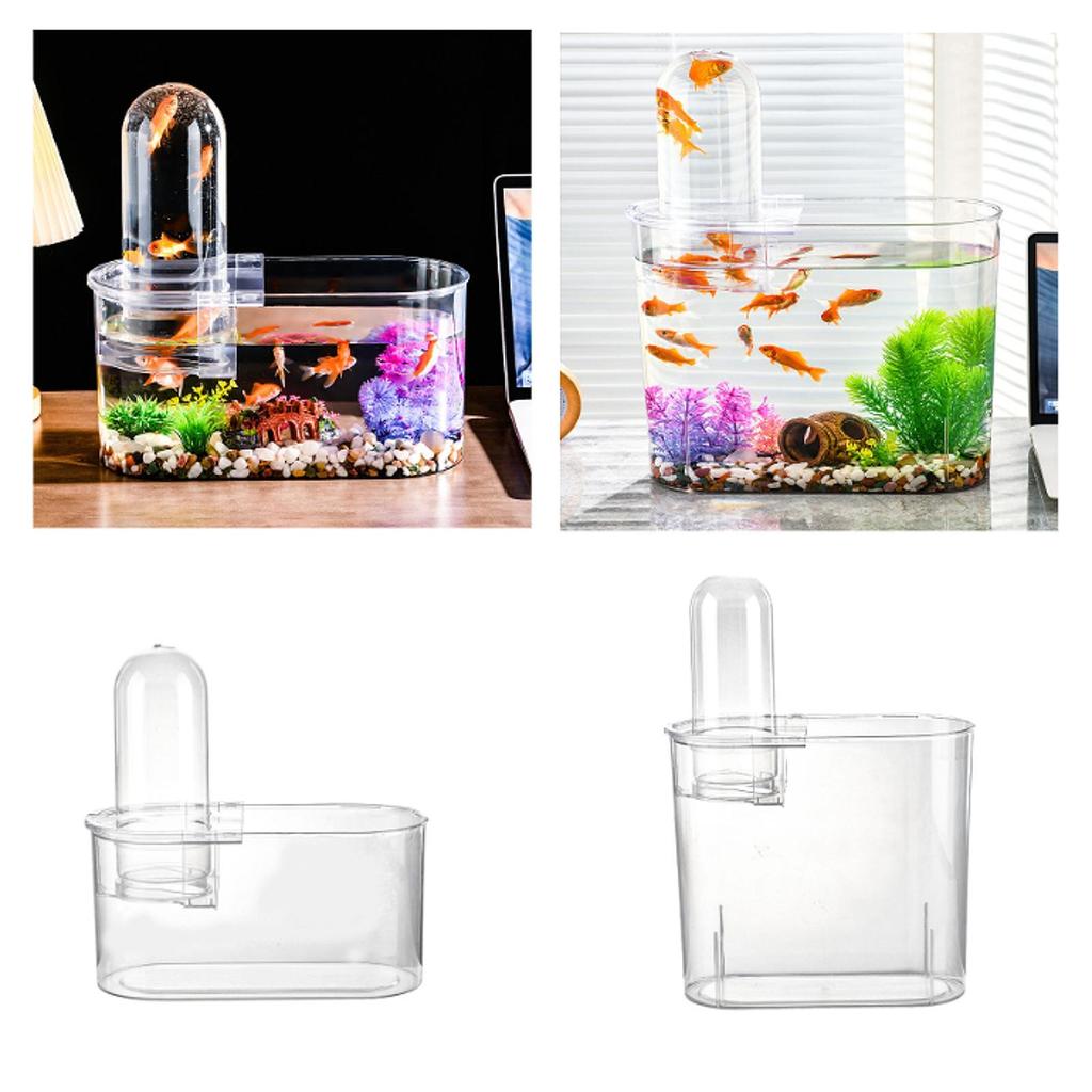 Mini Fish Tank with Lid Sturdy Amphibian Feeding Box Portable with Ventilation Turtle Tank for Home Table Bedroom Decorative