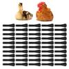 50 Pcs Poultry Plucking Fingers Rubber Hair Removal Stick Plucker for Chicken  