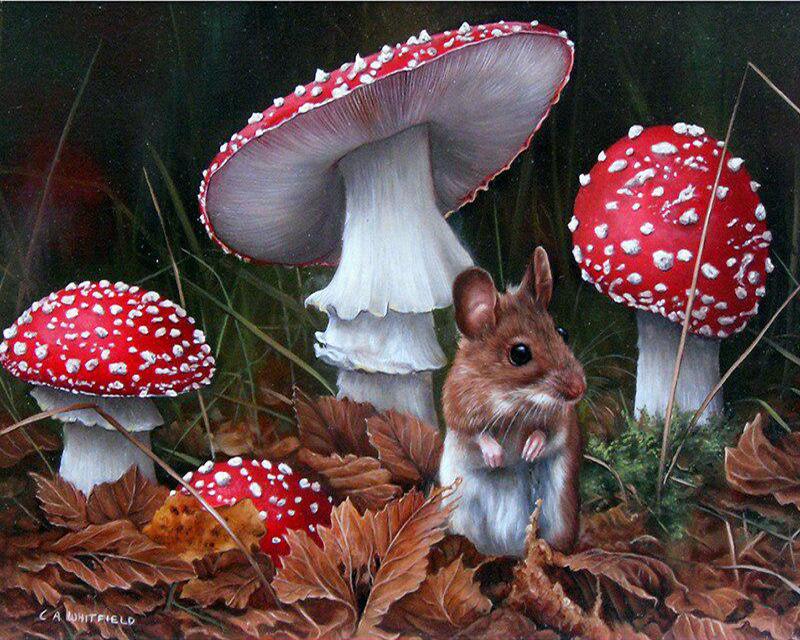 5D Diamond Painting Yard Animals Full Square Round Diamond Embroidery Full Set Watercolor Brown Dog Diamond Mosaic Craft Kit Home Decor