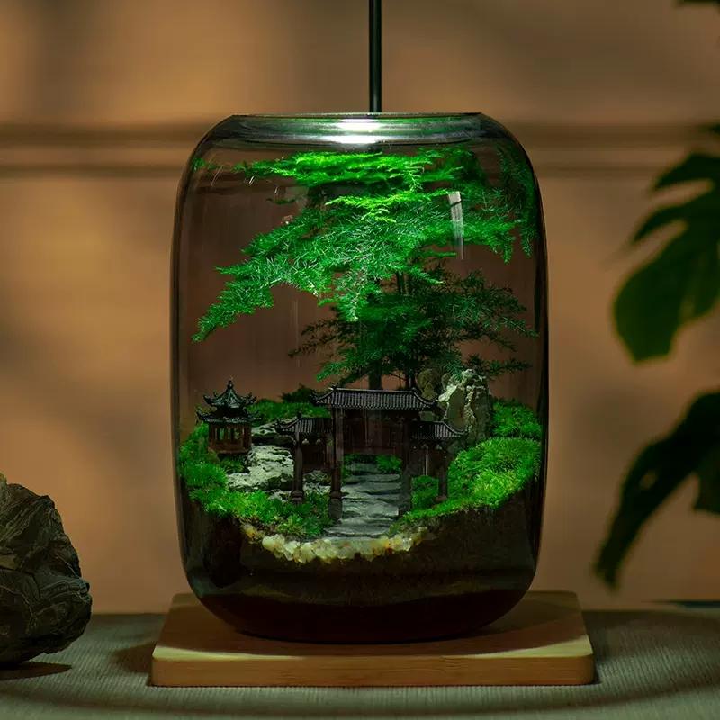 

Еко-скляна пляшка для мікро-ландшафту, Вазон-бонсай для офісу, Акваріум з декоративними прикрасами для стильного столу
