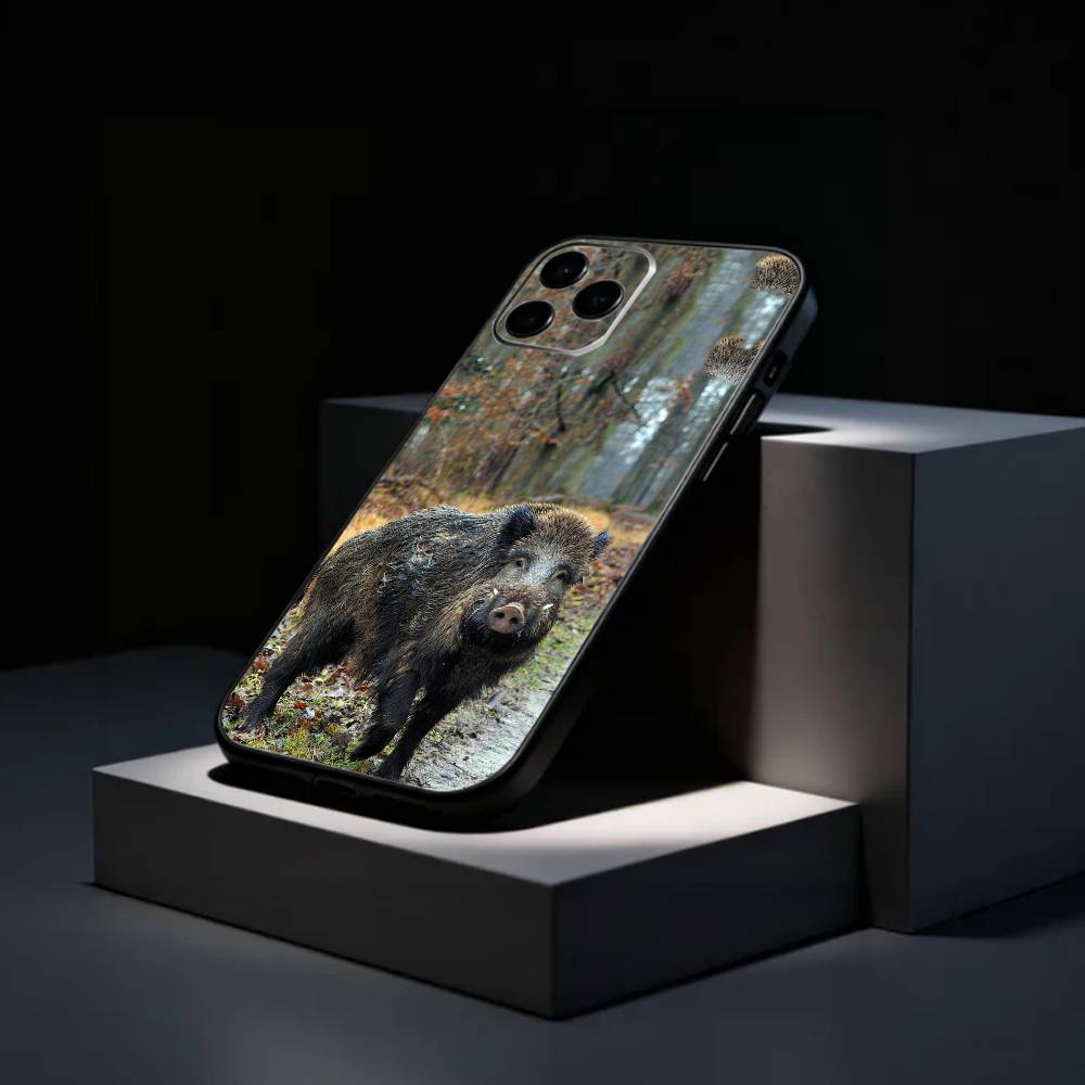 

COOL Wild B-Boar Animal Phone Case Silicone Soft For IPhone 17 16 15 14 13 12 11 X XR Plus Pro Max Plus iPhone16promax