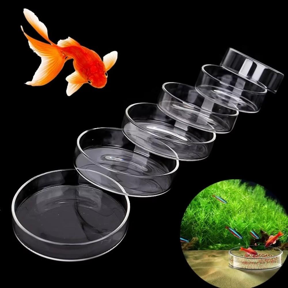 Glass Aquarium Feeding Bowl Durable Clear Round Tray Fish Feeder Tray Transparent Fish Tank Food Dispenser for Baby Fish Shrimp