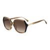 Temple Logo Plastic Butterfly Sunglasses Women's Brown ELLERYFS2OH
