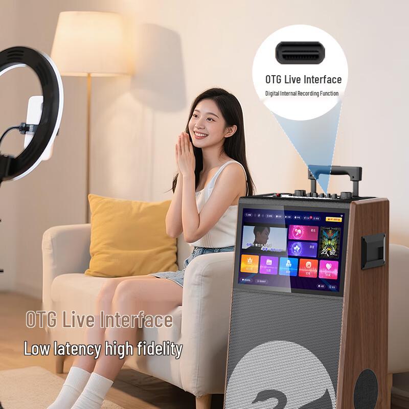 HiVi Portable KTV Karaoke Speaker System