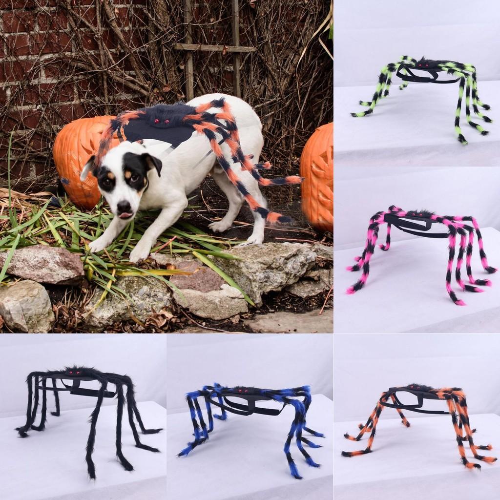 Halloween Spider Dog Costume With Fabric Material Pet Dress Up Accessory Party