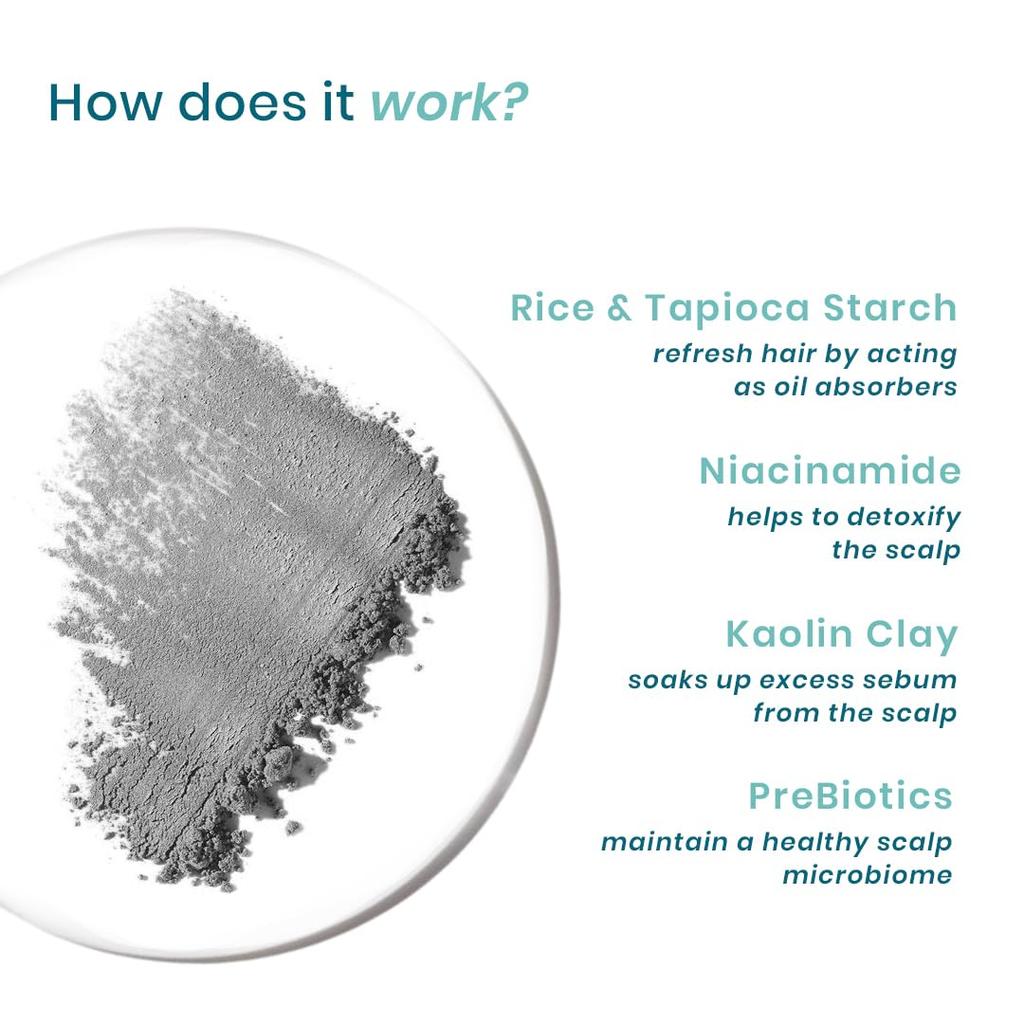 WishCare Air Powder Dry Shampoo 10gm Pack for Oily Hair Scalp Volume Boost Refresh Reset