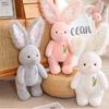 Adorable 60cm Grey Pink And White Rabbit Plush Toy Pillow For Girls Cozy Bedtime Companion