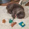 New Cats Natural Catnip Plush Toy Dinosaurs Penguins Mice Bite Chew Molar Tooth Interactive Game Cat Accessories Pet Dog Cat