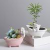 Keramik Sukkulenten-Blumentopf Schwein/Bär Pflanzgefäß Pflanze Blumentopf Ornament für Sukkulenten Kakteen Behälter für Zuhause Balkon
