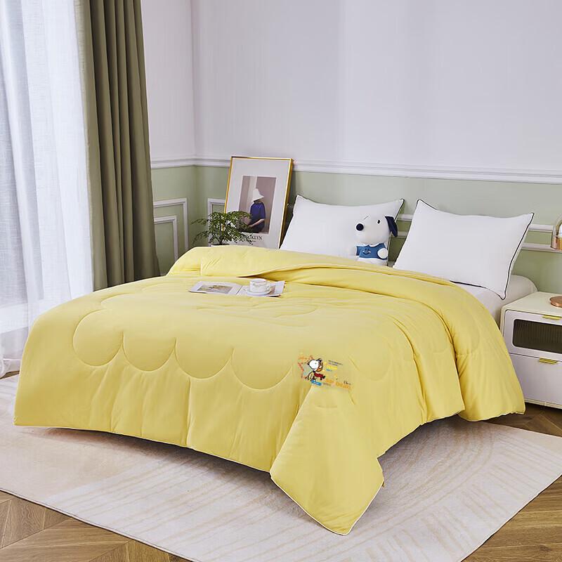 Snoopy All-Season Soft Soybean Fiber Quilt