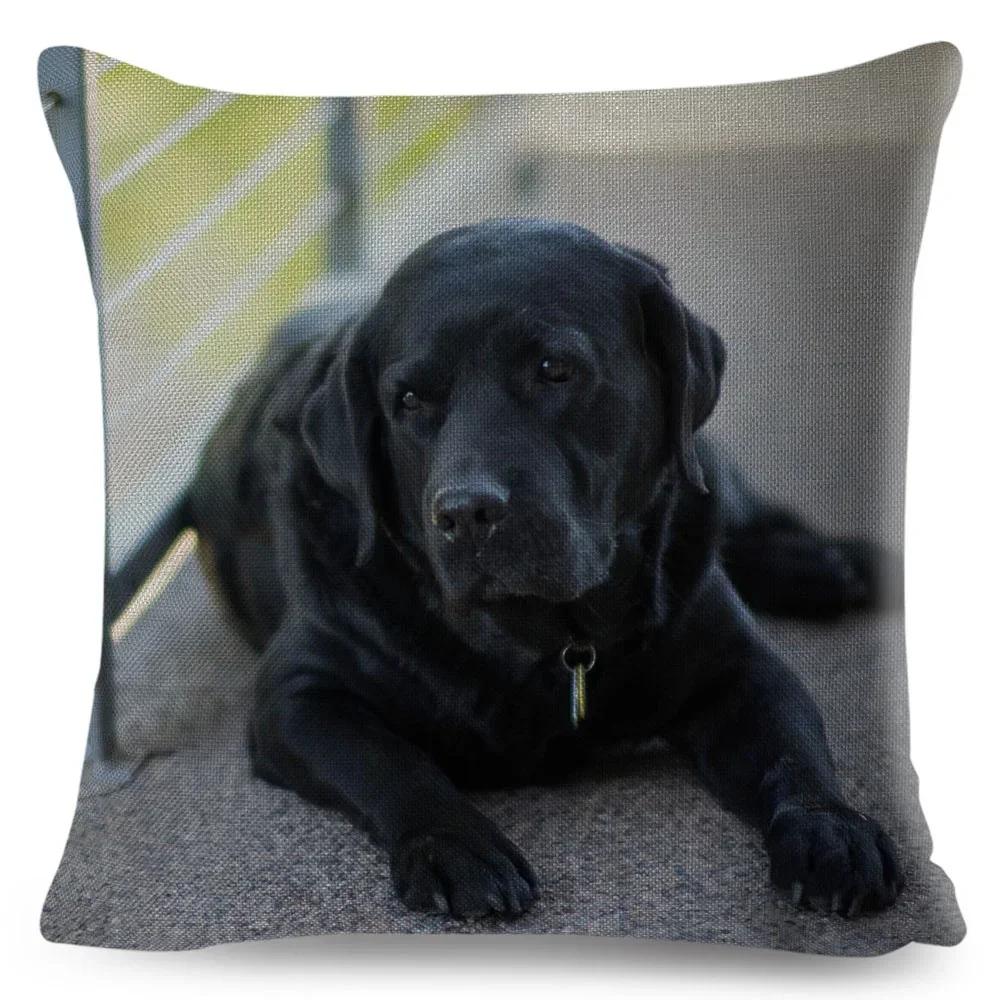 Cute Black Labrador Dog Double-Sided Printed Pillow Cover Short Plush Suitable Living Rooms Bedrooms Sofas Throw Cushion Cover