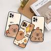 Cartoon Capybara Phone Case For IPhone 17 16 15 14 11 12 13 Mini Pro XS Max Plus Funda Shell