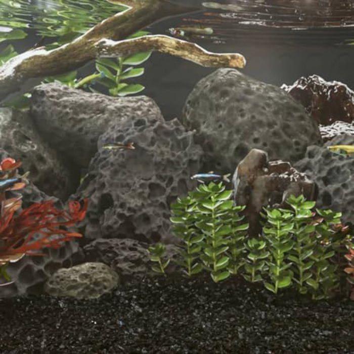 Roches volcaniques - vidaXL - 25 kg - Noir - 10-30 cm - Décoration aquarium