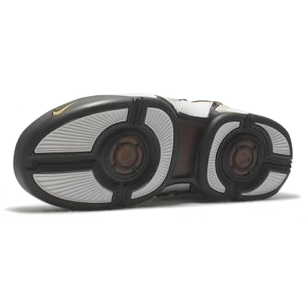 Nike LeBron 5 Herr. Basketball 317253-101