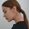 CLIP Earring