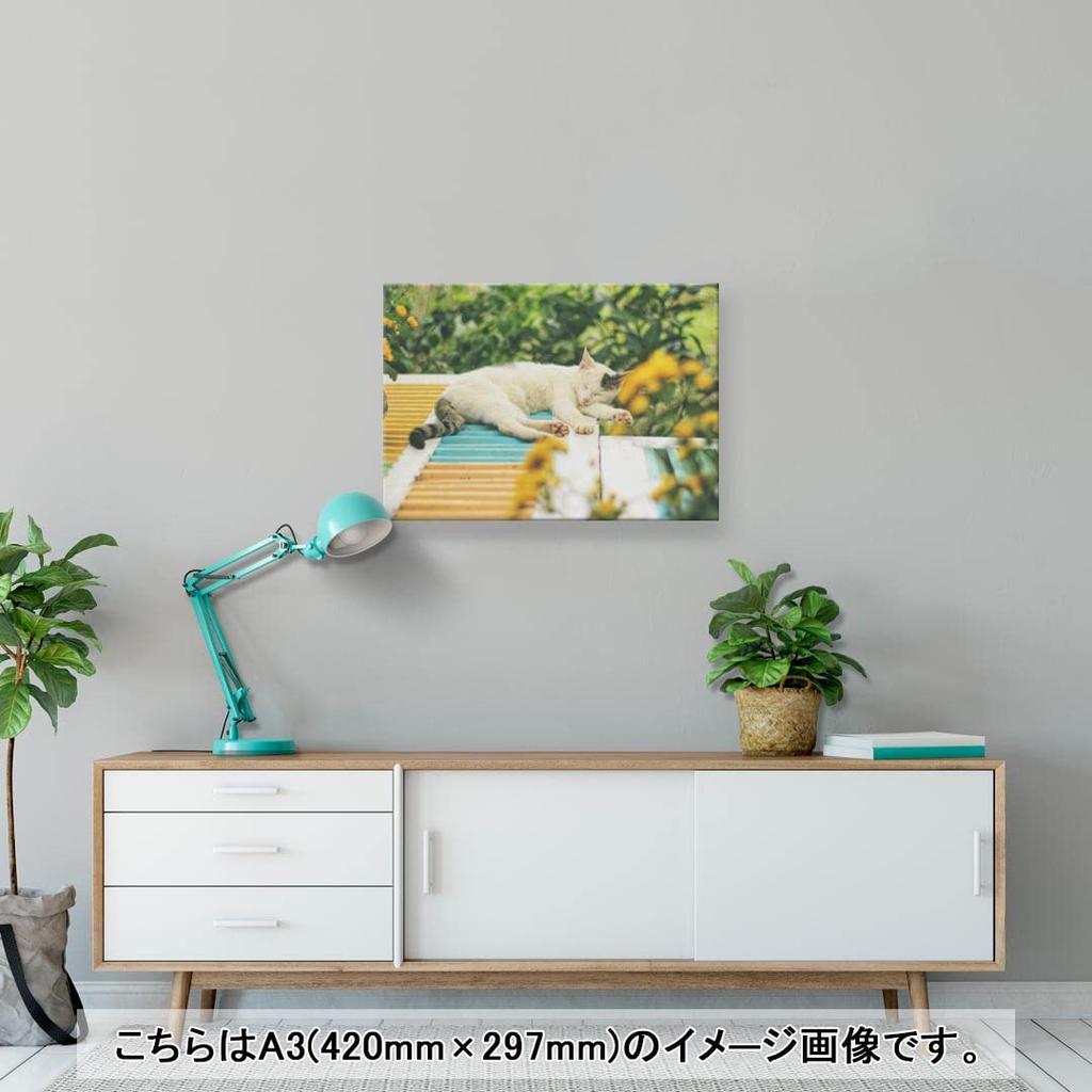 Art 420mm x Wall Wooden Stylish Interior Animal Photo Panel, Picture, Painting, Decoration, igsticker, 297mm, A3, Photo, Hanging, Frame, Decor,