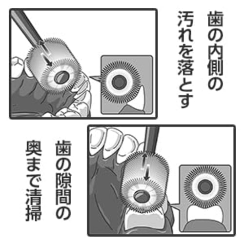 Dandelion Seed 360× Round Toothbrush, Extra Fine Bristles (Ages 3-12) (4 Colors, 4 Brushes)